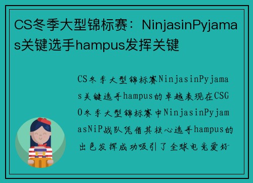 CS冬季大型锦标赛：NinjasinPyjamas关键选手hampus发挥关键